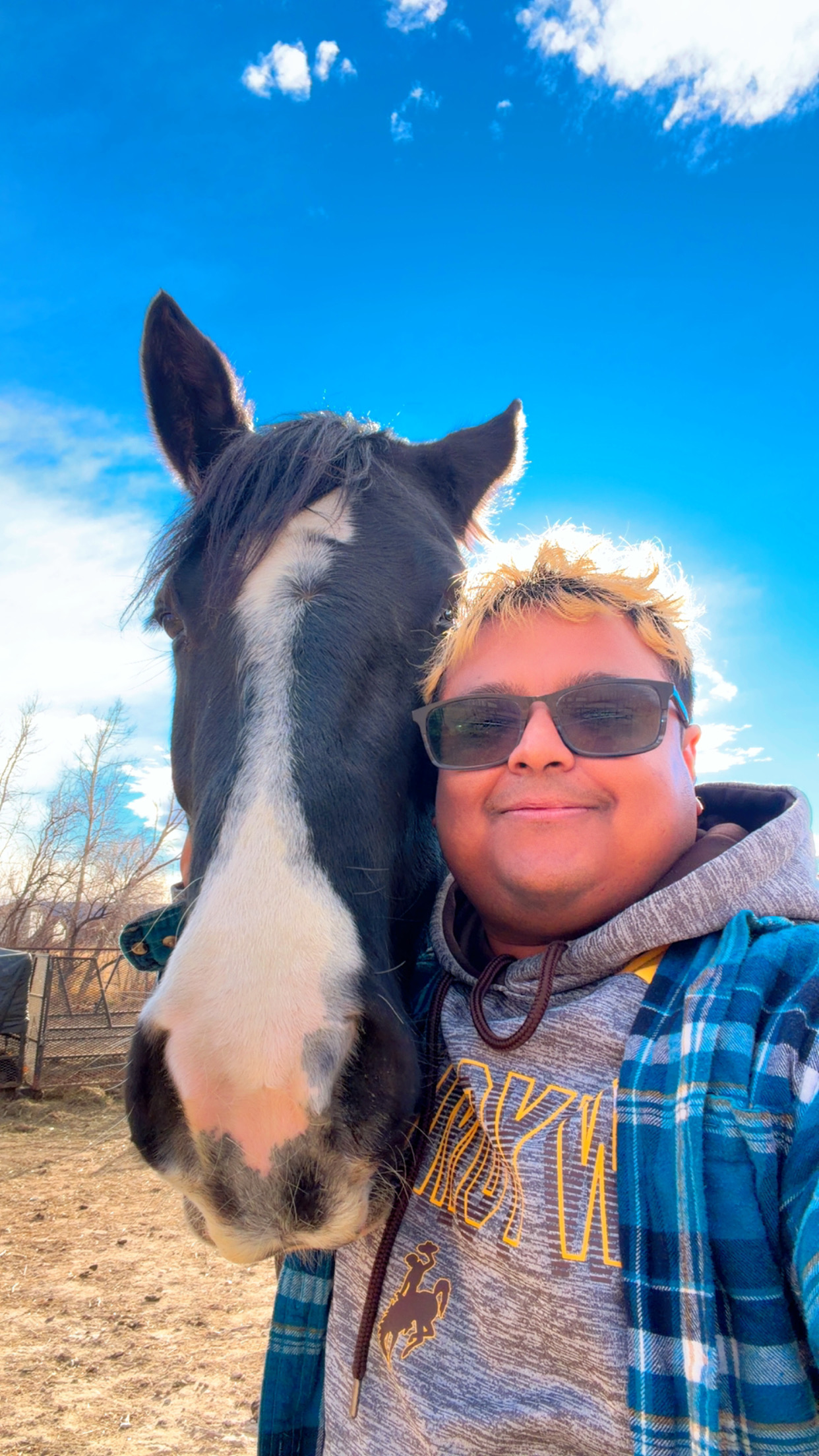 Win with a horse on a clear Wyoming day